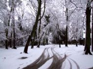 Wirral Snow